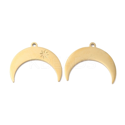 Ion Plating(IP) 316L Surgical Stainless Steel Pendants STAS-H213-85G-1