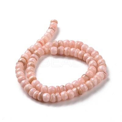 Natural Cultured Freshwater Shell Beads Strands SHEL-F002-01-1