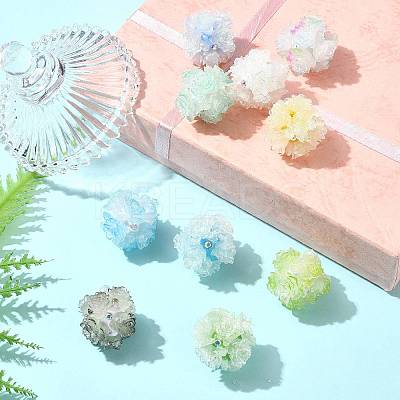 10Pcs 10 Colors Resin Beads RESI-FS0002-24A-1