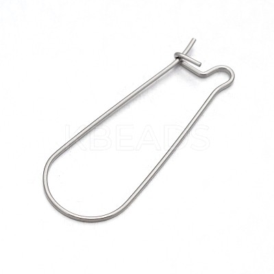 Non-Tarnish 304 Stainless Steel Hoop Earring Settings LS-X-STAS-N075-03-1