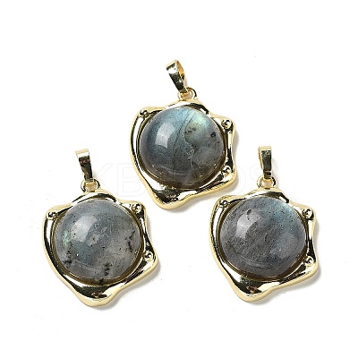 Natural Labradorite Pendants G-G069-01G-06-1