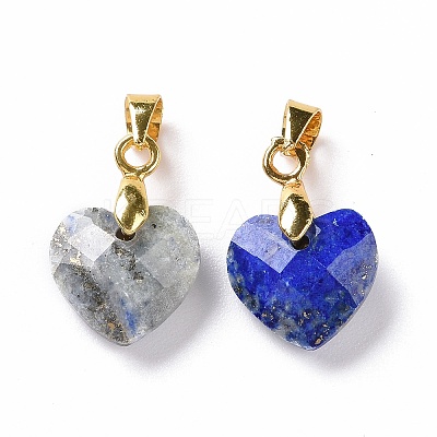 Natural Lapis Lazuli Pendants G-C023-07G-1