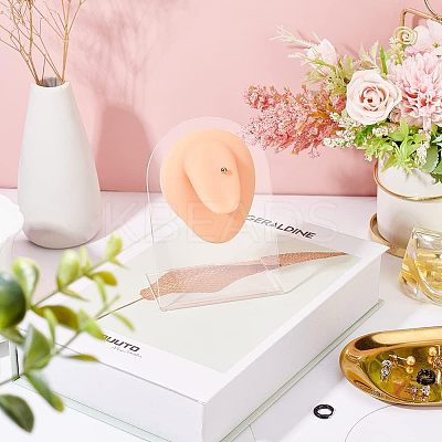 Soft Silicone Tongue Flexible Model Body Part Displays with Acrylic Stands ODIS-WH0002-23-1