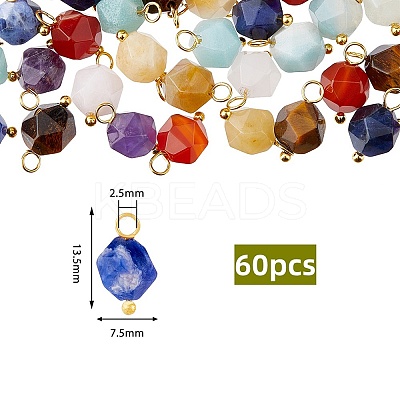 60Pcs Chakra Theme Natural Mixed Stone Charms FIND-HY0001-26-1