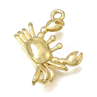 Brass Charms KK-K427-49G-1