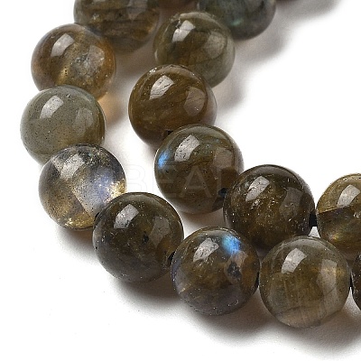 Natural Labradorite Beads Strands G-I253-01-1