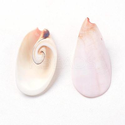 Natural Freshwater Shell Beads BSHE-L036-29-1