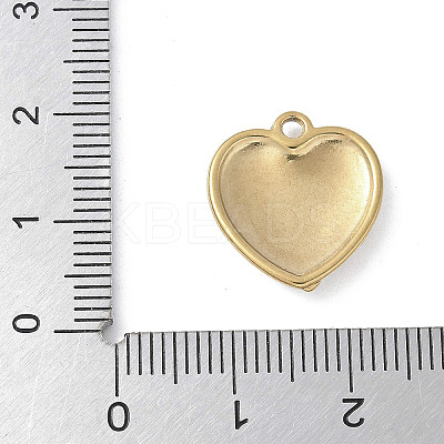 304 Stainless Steel Pendants STAS-S164-02C-G-1
