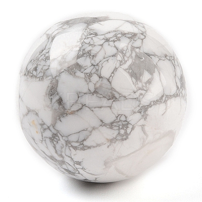 Natural Howlite Sphere Beads G-I367-07F-1