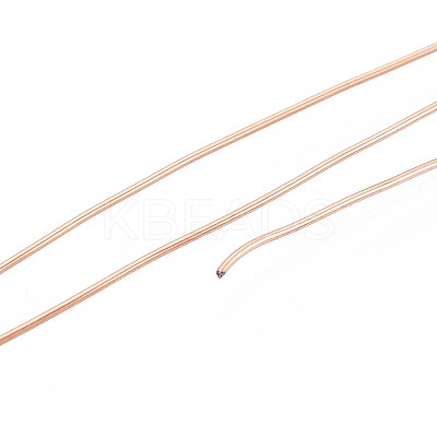 10M 304 Stainless Steel Wire TWIR-N005-0.6mm-RG-1