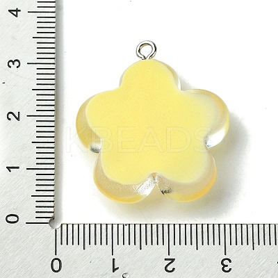 Translucent Resin Pendants RESI-P039-01P-1