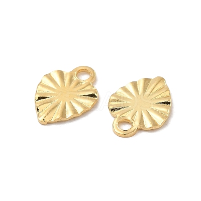 304 Stainless Steel Charms STAS-C080-03G-1