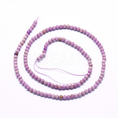 Natural Lepidolite/Purple Mica Beads Strands G-G823-16-3mm-1