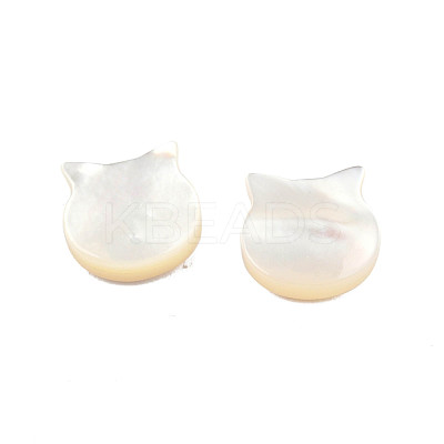 Natural White Shell Beads SSHEL-N003-142-1