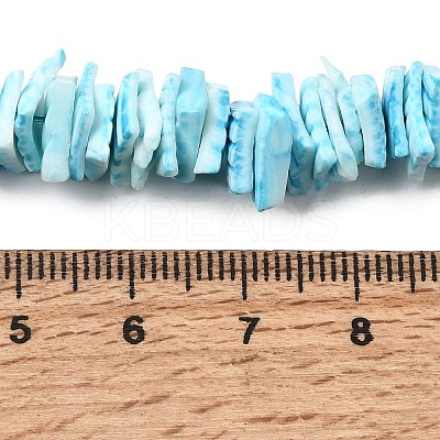 Natural Sea Shell Beads Strands BSHE-K012-08C-1