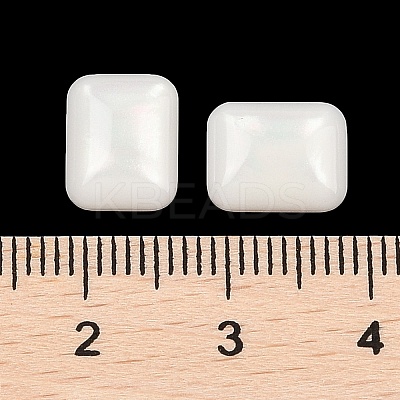 Opaque Resin Decoden Cabochons CRES-I036-09B-1