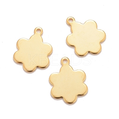 201 Stainless Steel Charms STAS-K217-23G-1