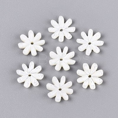 Natural Trochus Shell Beads SHEL-Q028-05-1