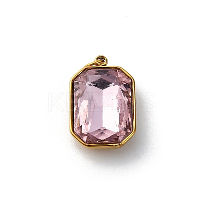 316 Stainless Steel Faceted Glass Pendants STAS-K258-48G-08-1