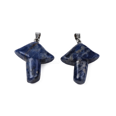 Natural Sodalite Pendants G-R480-02I-1