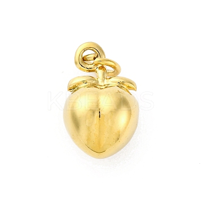 304 Stainless Steel Charms X-STAS-U049-01A-04G-1