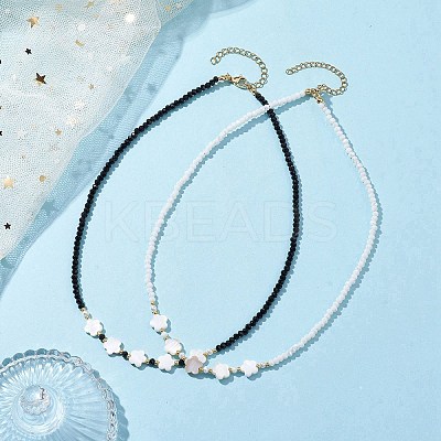 Glass Beads Necklaces NJEW-JN04722-1