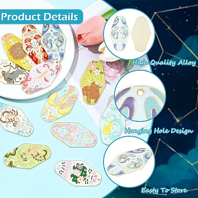 12Pcs 12 Styles Twelve Constellations Alloy Enamel Big Pendants ENAM-YW0008-20-1