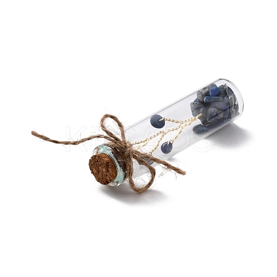 Mini Natural Crystal & Stone Beads Wishing Bottles G-C232-05B-1