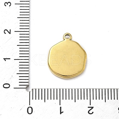 304 Stainless Steel Pendants STAS-K291-12G-03-1