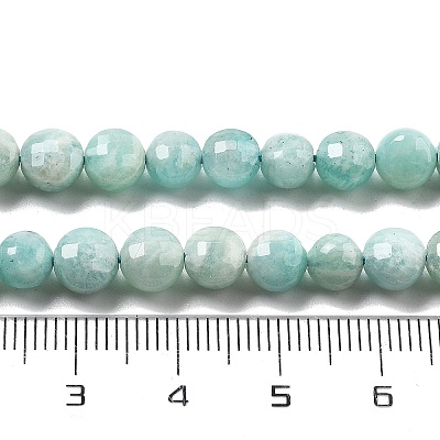 Natural Amazonite Beads Strands G-C179-J01-01-1