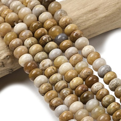Natural Fossil Coral Beads Strands G-A280-A08-01-1
