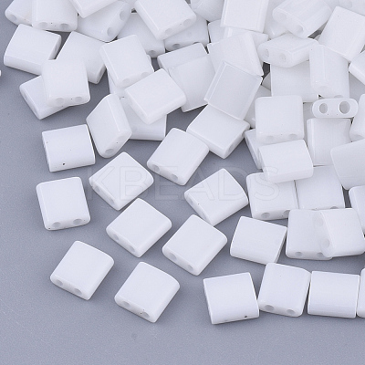 FGB 2-Hole Glass Seed Beads X-SEED-S031-L-041-1