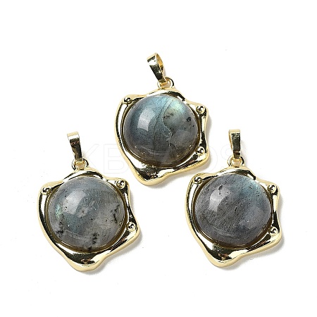 Natural Labradorite Pendants G-G069-01G-06-1