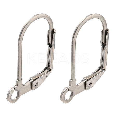Non-Tarnish 304 Stainless Steel Leverback Earring Findings STAS-P360-02B-P-1