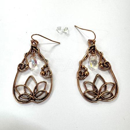 Bohemian Style Alloy Resin Dangle Earrings FS-WG7E92D-01-1