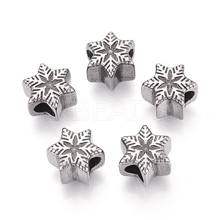 304 Stainless Steel European Style Large Hole Beads STAS-T072-142P-1