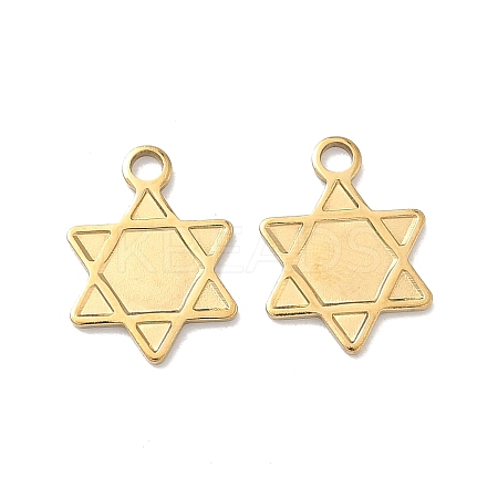 304 Stainless Steel Charms STAS-Z184-15G-1
