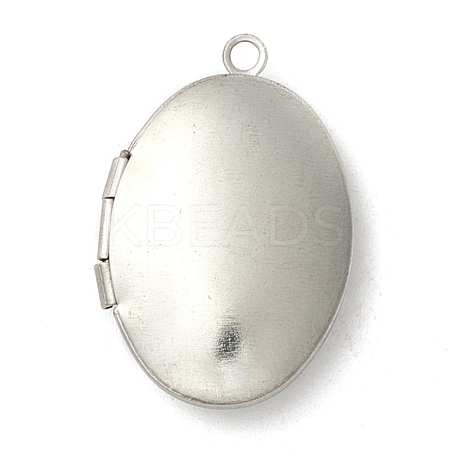 Non-Tarnish 304 Stainless Steel Diffuser Locket Pendants STAS-K002-09P-1