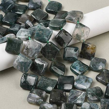 Natural Moss Agate Beads Strands G-L239-16-1