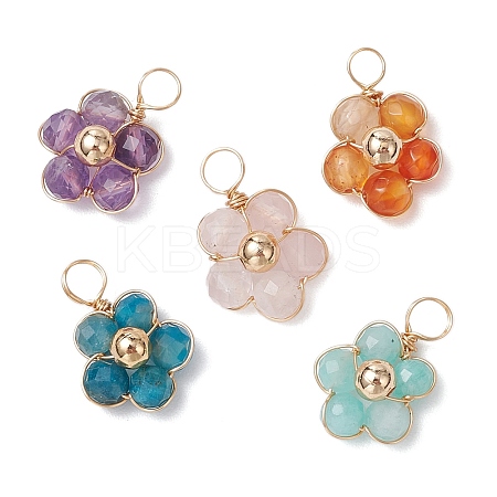 Natural Amazonite & Apatite & Rose Quartz & Amethyst & Red Agate Faceted Round Beaded Pendants PALLOY-JF03606-01-1