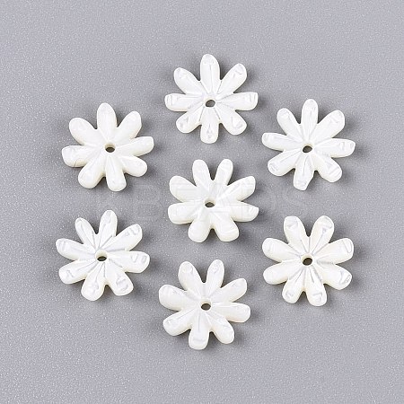 Natural Trochus Shell Beads SHEL-Q028-05-1