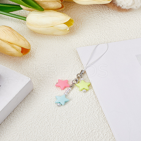 1Pc Resin with Alloy and Nylon Cord Mobile Accessories Decoration HJEW-LP0002-12E-1