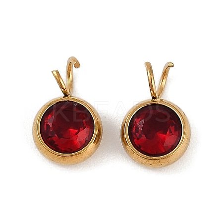 Ion Plating(IP) 304 Stainless Steel Micro Pave Cubic Zirconia Charms STAS-Z094-02G-09-1