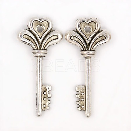 Tibetan Style Alloy Pendants TIBEP-16487-AS-FF-1