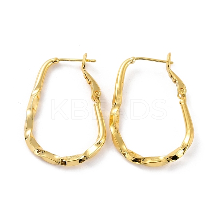 Twist Teardrop Huggie Hoop Earrings EJEW-C002-23G-RS-1