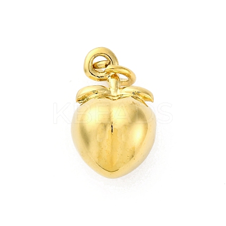 304 Stainless Steel Charms X-STAS-U049-01A-04G-1