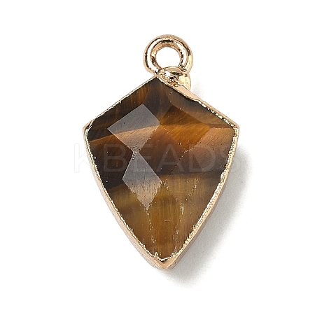 Natural Tiger Eye Pendants G-K422-01G-08-1