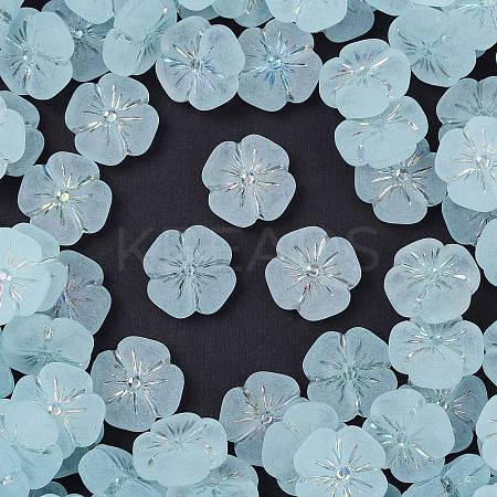 Frosted Transparent Acrylic Beads X1-OACR-P029-19B-06-1