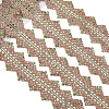 4.8~5 Yards Sparkle Polyester Lace Trim Ribbon with Plastic Paillettes OCOR-CY0001-14A-1