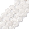 Natural Quartz Crystal Beads Strands G-P570-E21-02-2